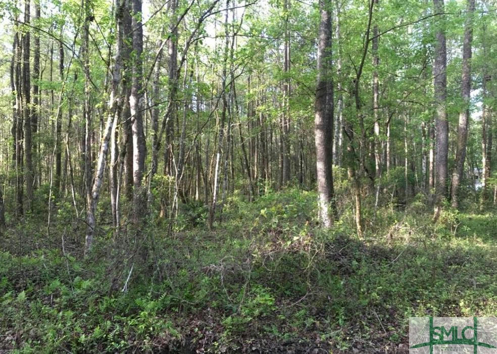 LOT 40 PINE HILL ROAD, TOWNSEND, GA 31331, photo 1 of 2